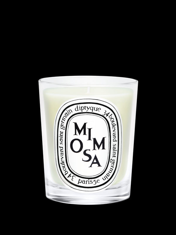 Mimosa Candle